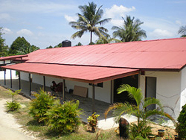 kilang_roselle_600.jpg